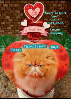 "Sorry, I Heart You"